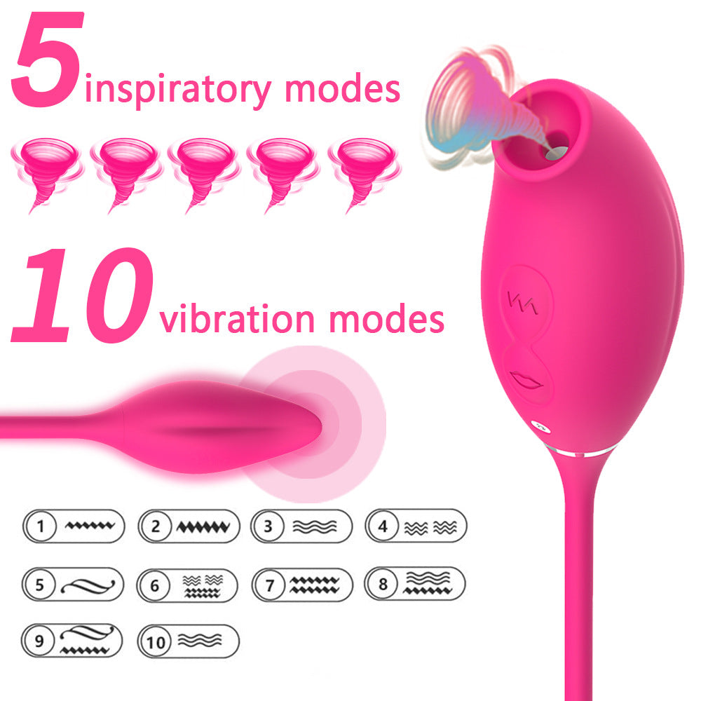 Double Head Vibrator