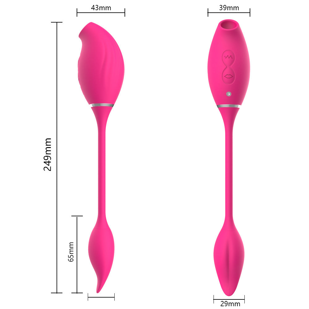 Double Head Vibrator