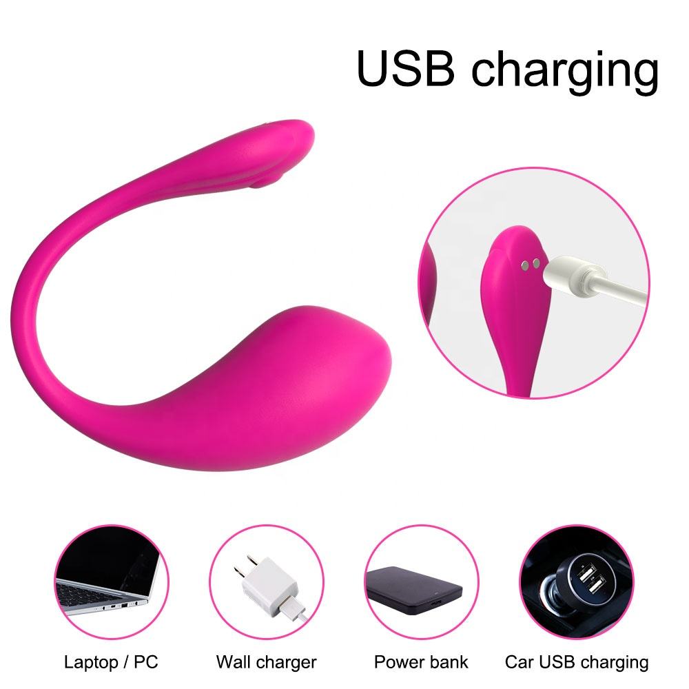 Phone Controlled Wireless Vibrator