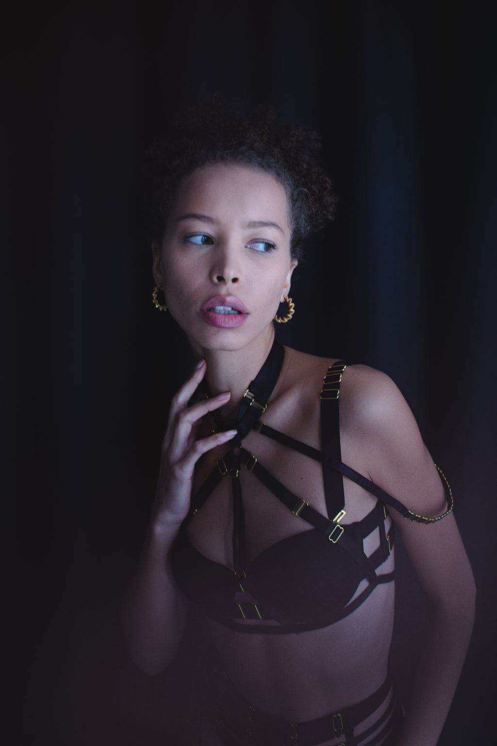 RYLEE Luxury Four-Piece Lingerie Set